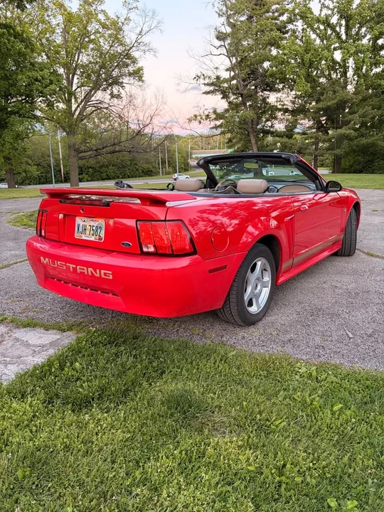 2003 Ford SN95 Mustang - Image 11 of 20