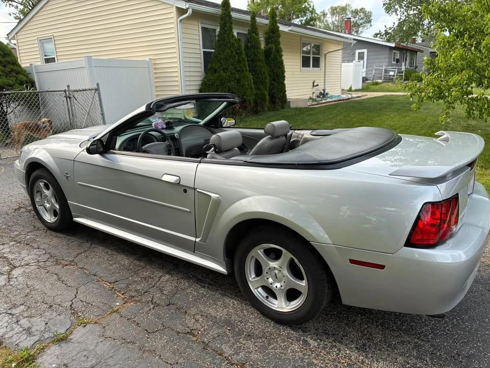 2003 Ford SN95 Mustang - Image 2 of 8