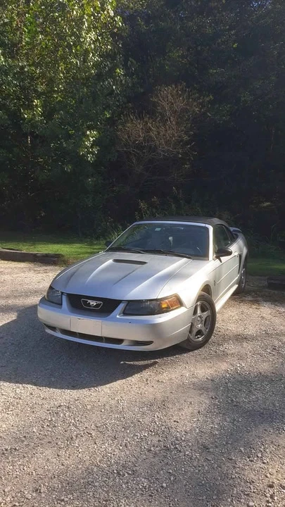 2003 Ford SN95 Mustang - Image 2 of 6