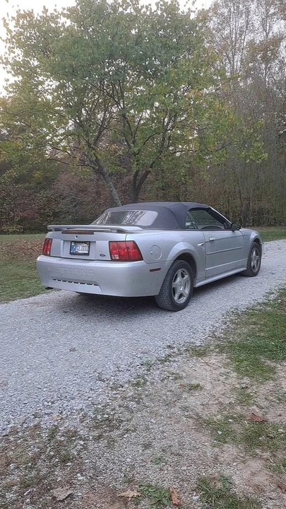 2003 Ford SN95 Mustang - Image 3 of 6