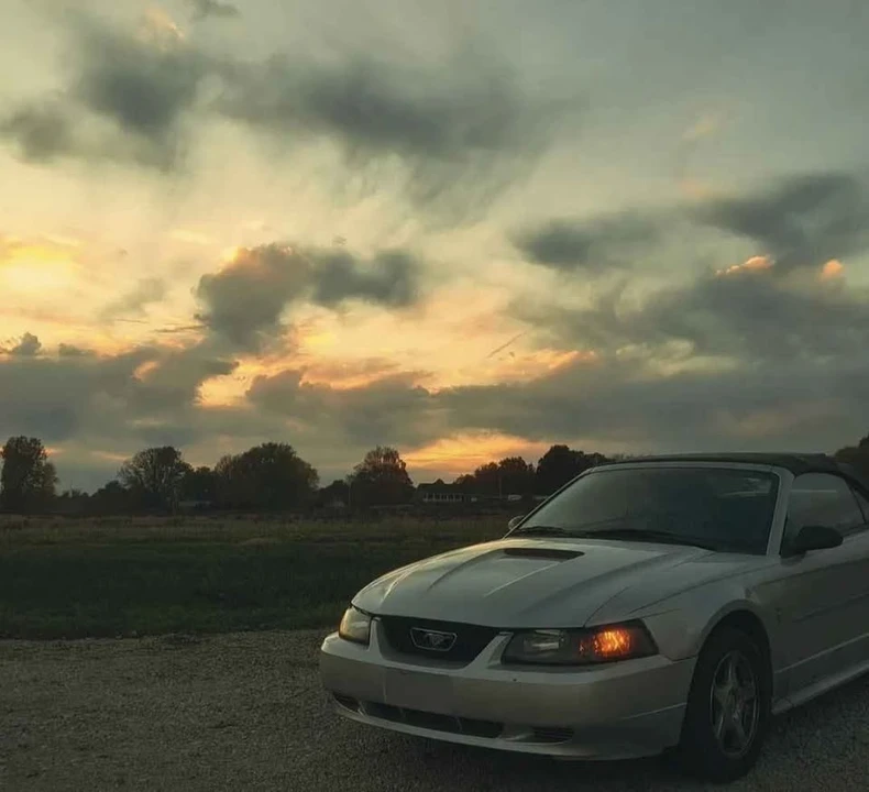 2003 Ford SN95 Mustang - Image 5 of 6