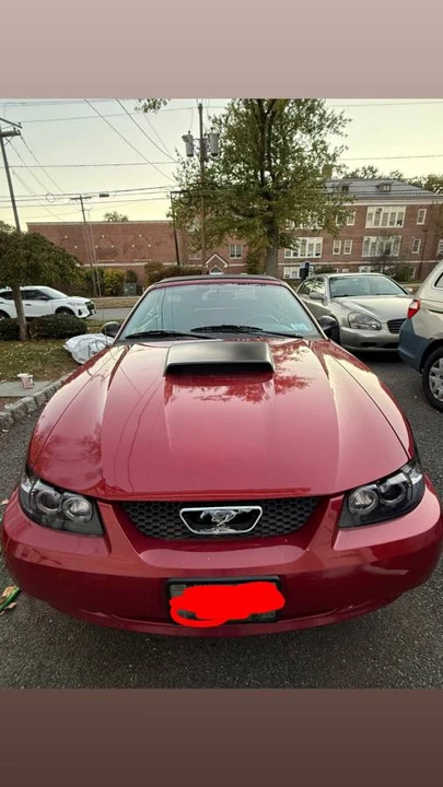 2003 Ford SN95 Mustang - Image 3 of 7