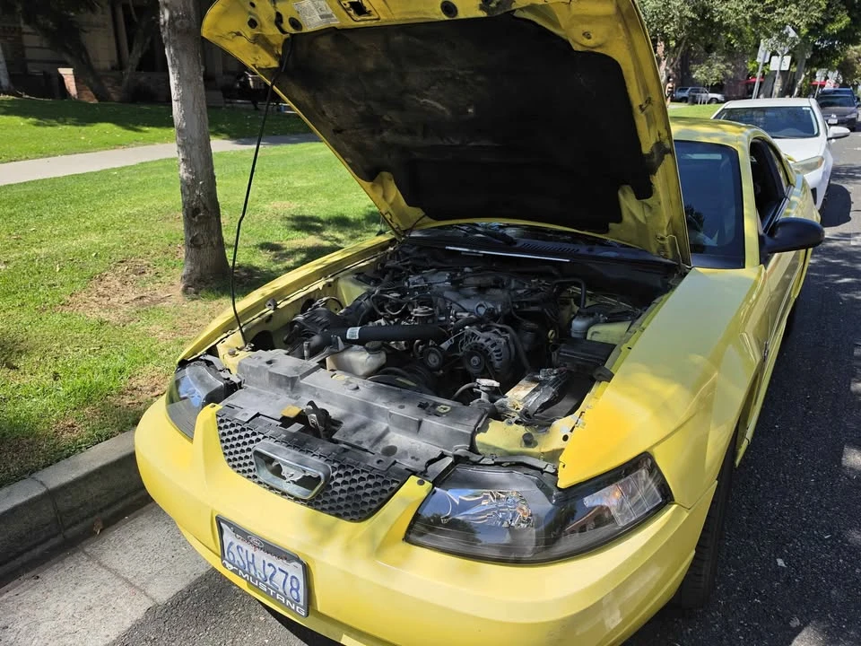 2003 Ford SN95 Mustang - Image 6 of 6