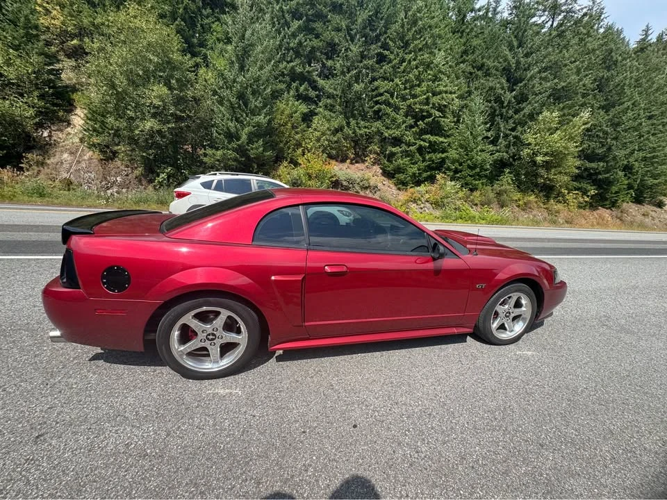 2003 Ford SN95 Mustang - Image 4 of 9