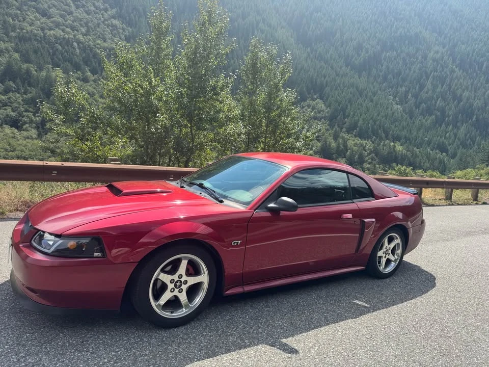 2003 Ford SN95 Mustang - Image 2 of 9