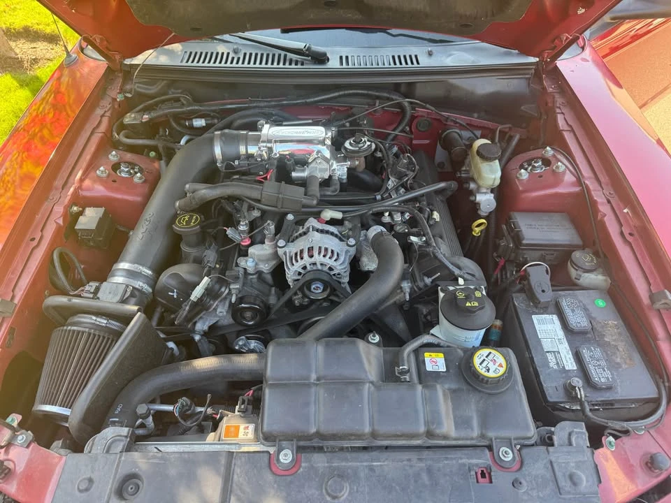 2003 Ford SN95 Mustang - Image 8 of 9
