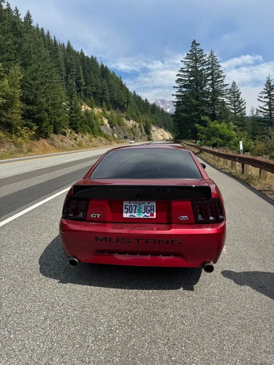 2003 Ford SN95 Mustang - Image 3 of 9