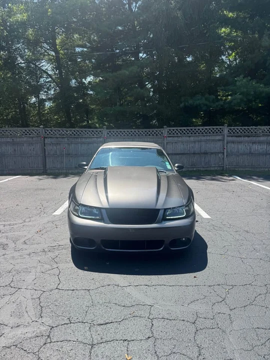 2003 Ford SN95 Mustang - Image 2 of 10