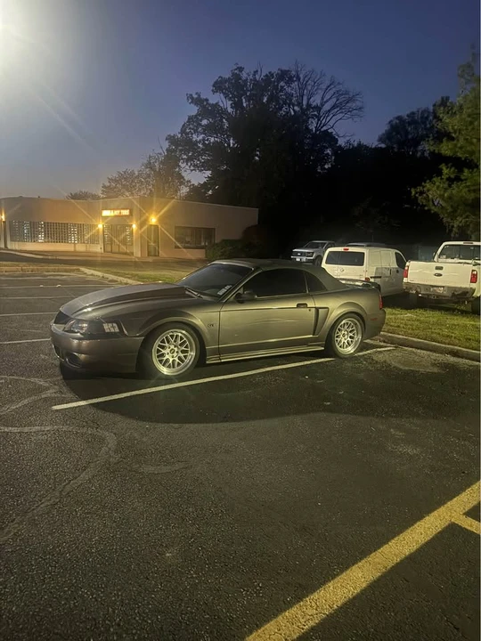 2003 Ford SN95 Mustang - Image 6 of 10