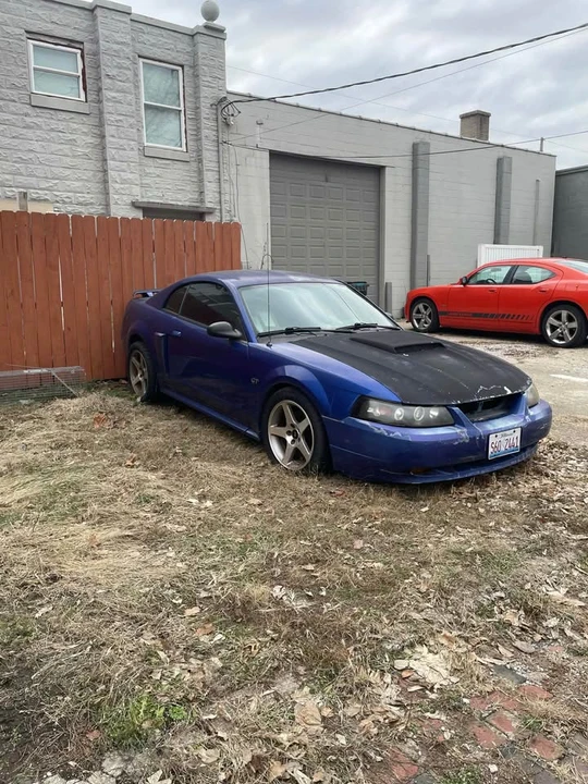 2003 Ford SN95 Mustang - Image 2 of 3