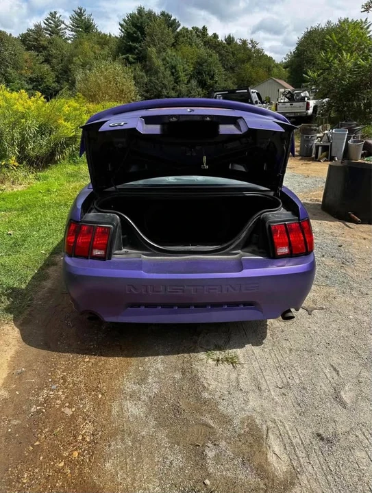 2003 Ford SN95 Mustang - Image 4 of 7