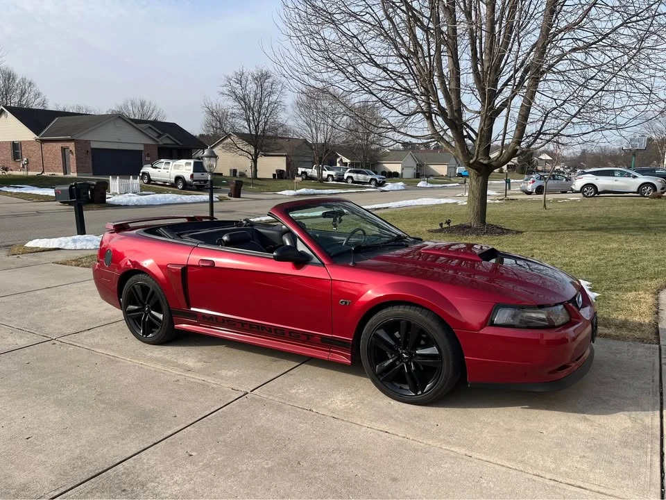 2003 Ford SN95 Mustang - Image 8 of 10