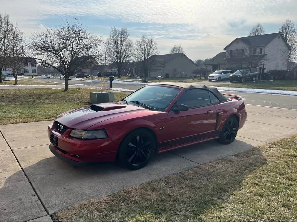 2003 Ford SN95 Mustang - Image 6 of 10