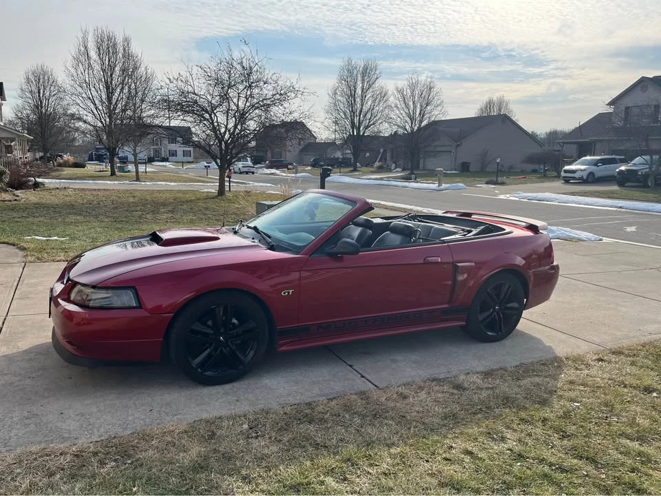 2003 Ford SN95 Mustang - Image 7 of 10