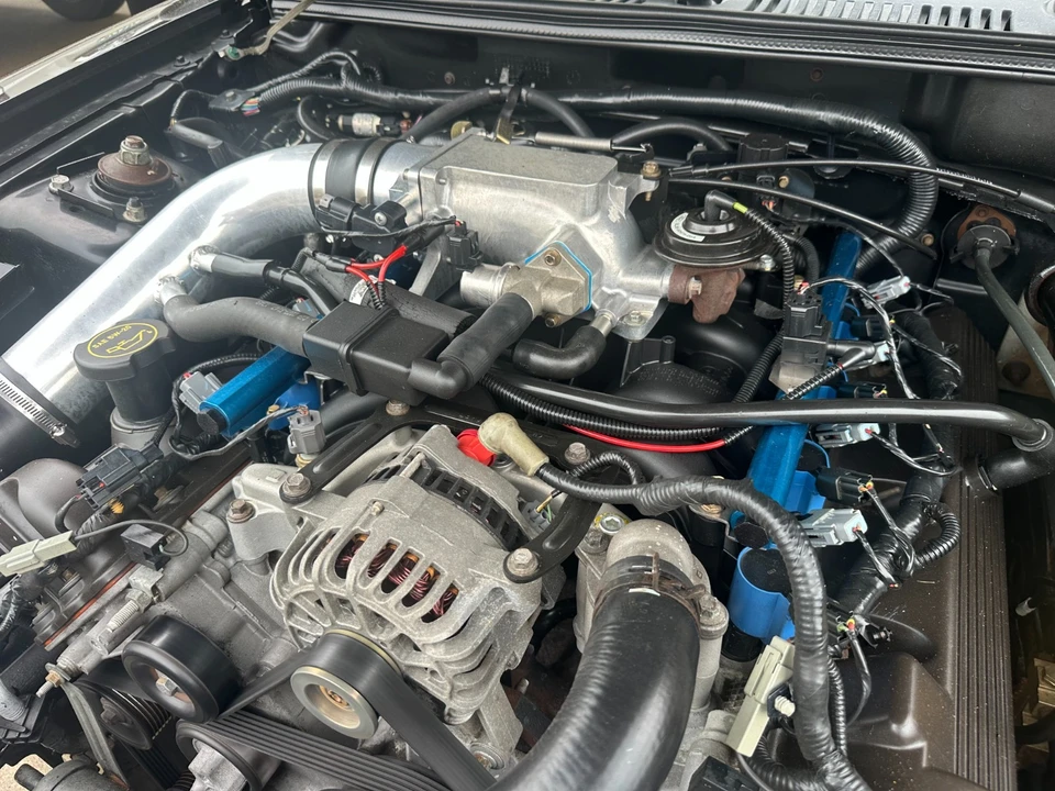 2003 Ford SN95 Mustang - Image 14 of 21