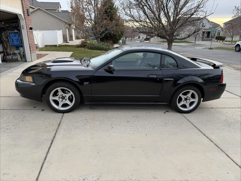 2003 Ford SN95 Mustang - Image 2 of 16