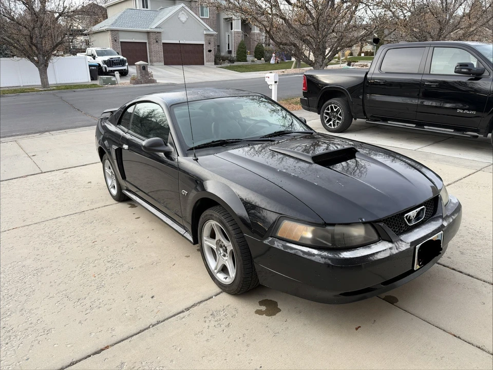 2003 Ford SN95 Mustang - Image 5 of 16