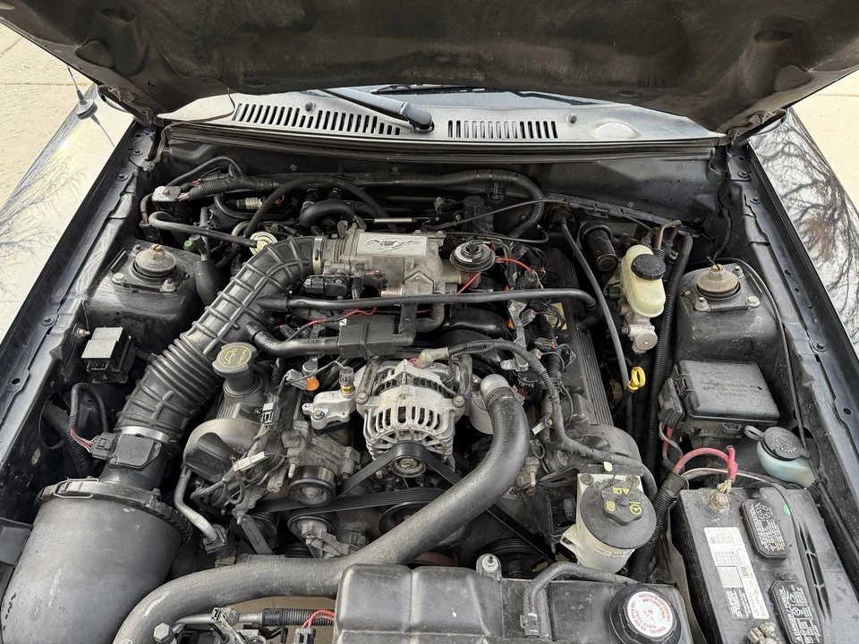 2003 Ford SN95 Mustang - Image 13 of 16