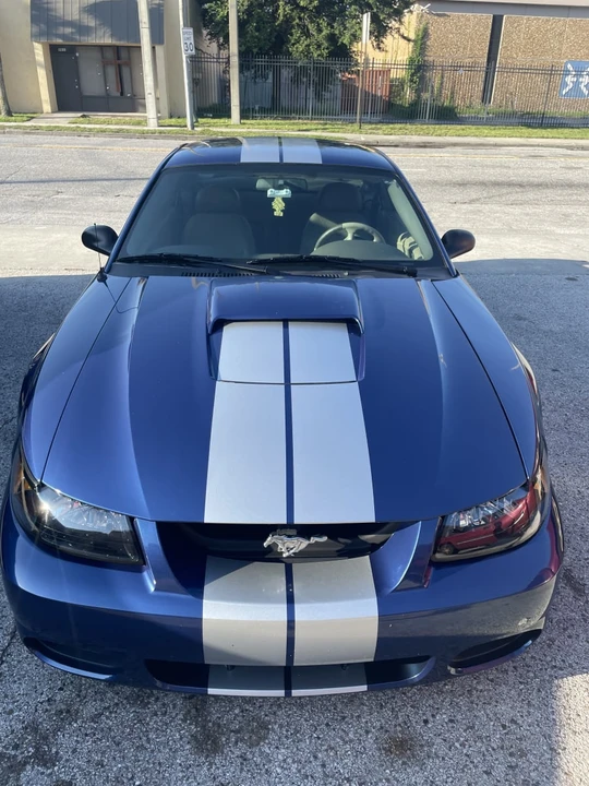 2003 Ford SN95 Mustang - Image 8 of 12