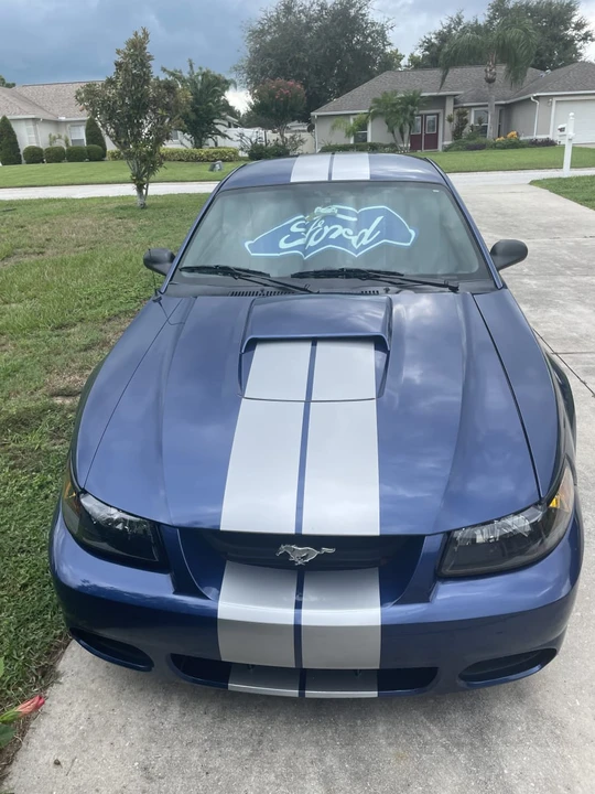 2003 Ford SN95 Mustang - Image 2 of 12