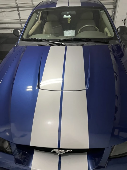 2003 Ford SN95 Mustang - Image 5 of 12