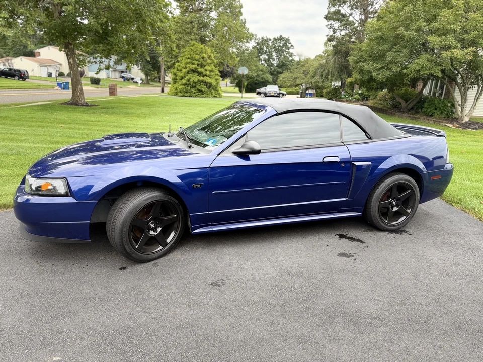 2003 Ford SN95 Mustang - Image 12 of 21