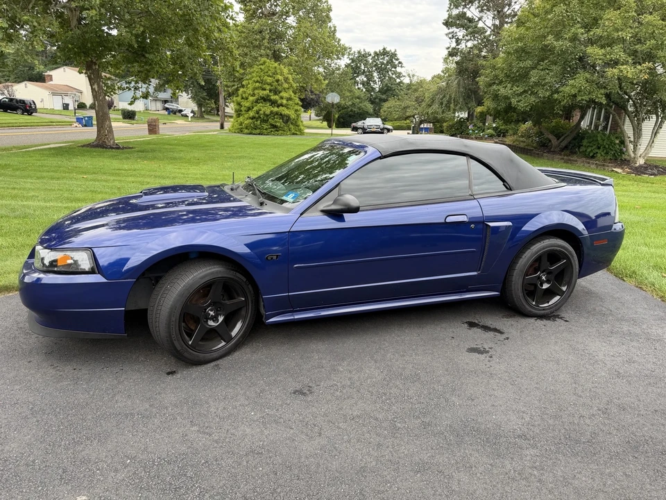 2003 Ford SN95 Mustang - Image 11 of 21