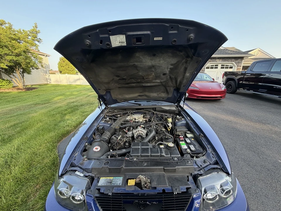 2003 Ford SN95 Mustang - Image 20 of 21