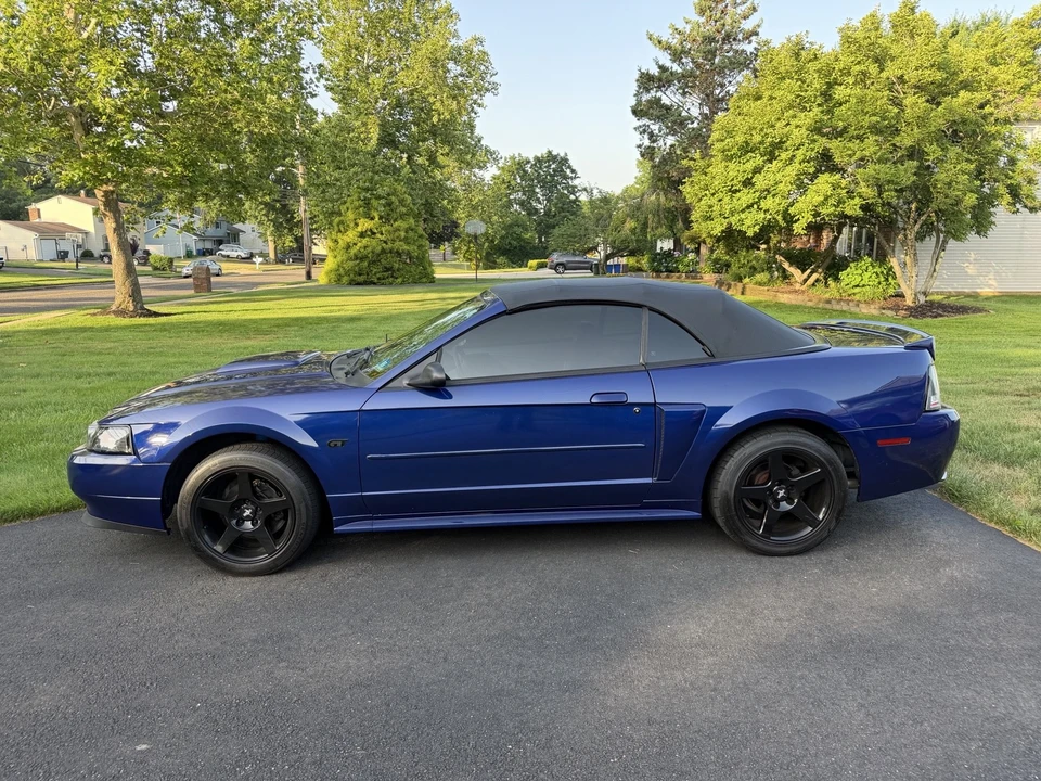 2003 Ford SN95 Mustang - Image 6 of 21
