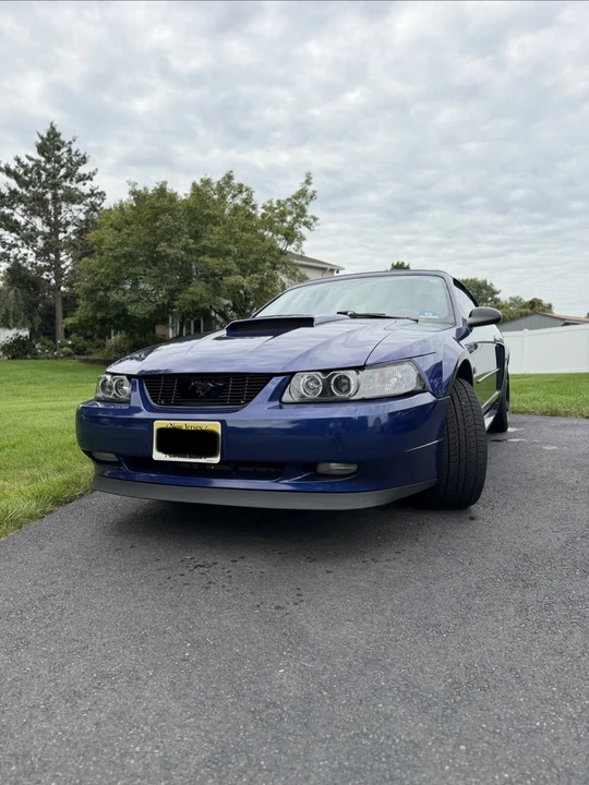 2003 Ford SN95 Mustang - Image 15 of 21