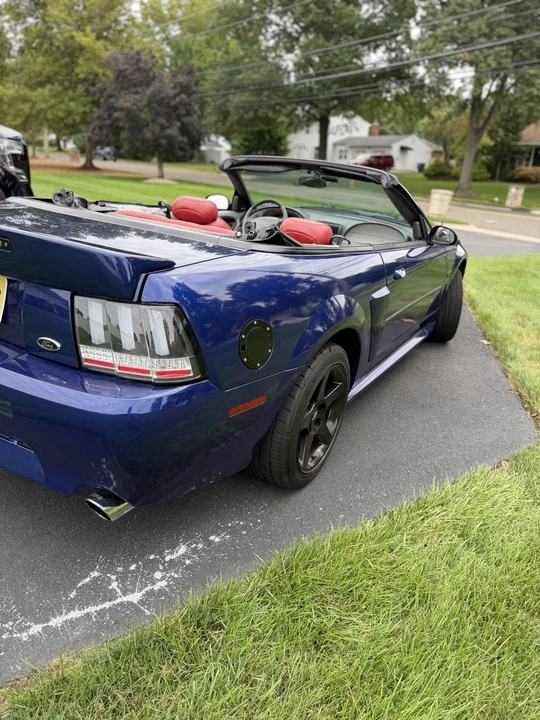 2003 Ford SN95 Mustang - Image 3 of 21