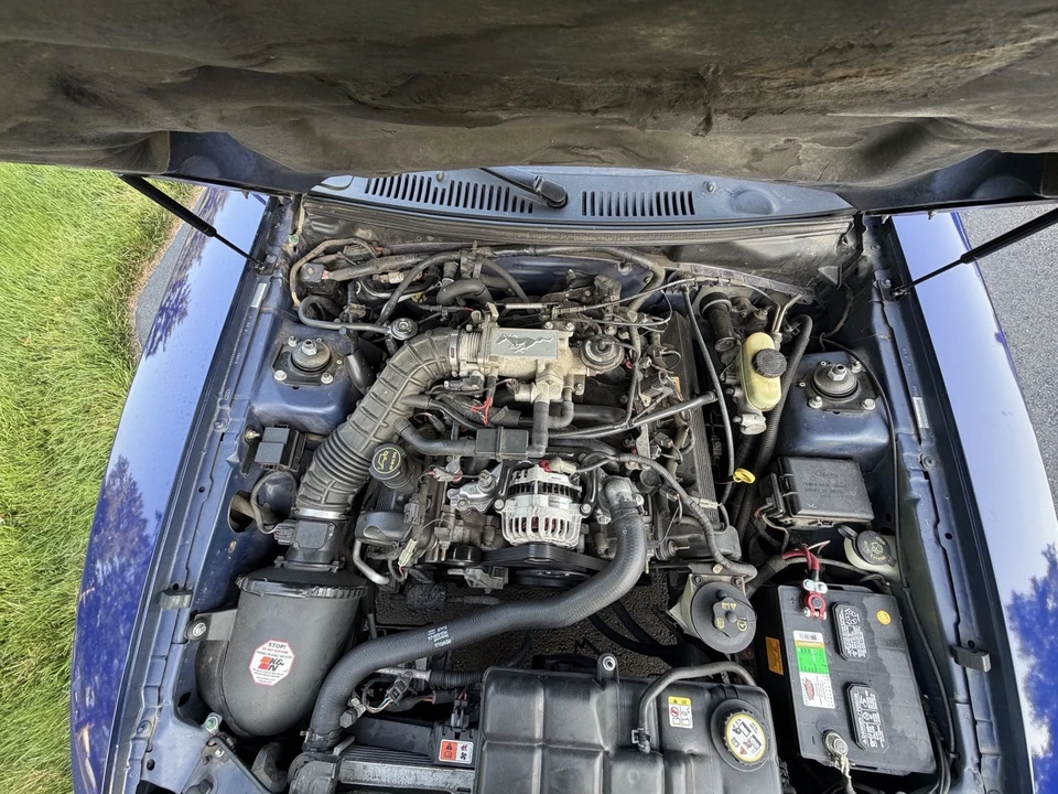 2003 Ford SN95 Mustang - Image 18 of 21