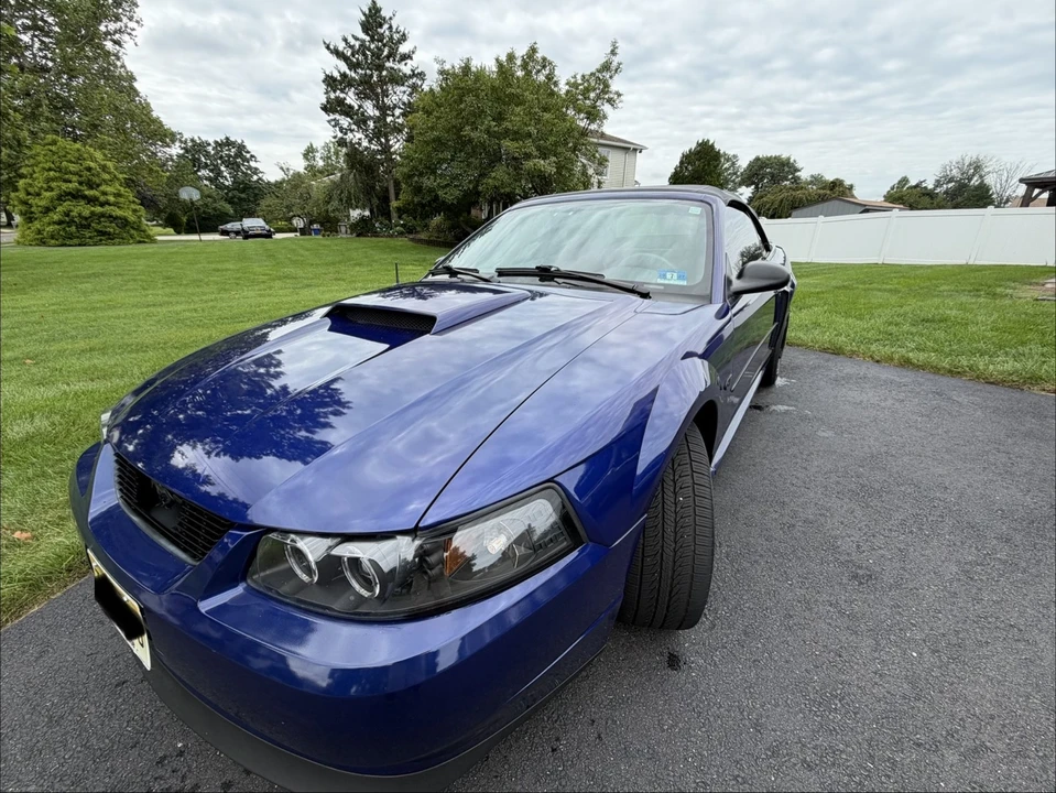 2003 Ford SN95 Mustang - Image 10 of 21