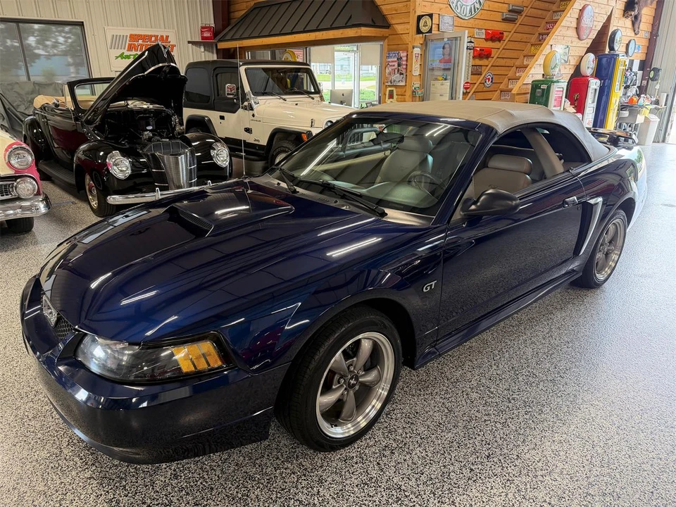 2003 Ford SN95 Mustang - Image 8 of 31