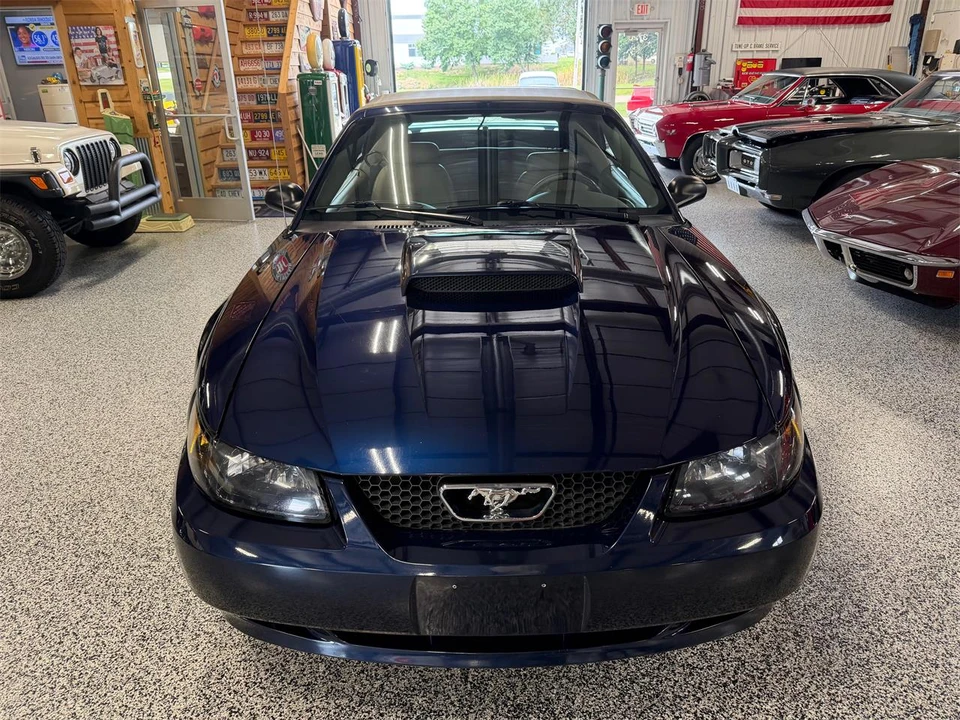 2003 Ford SN95 Mustang - Image 10 of 31