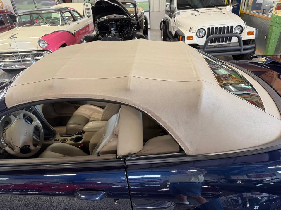 2003 Ford SN95 Mustang - Image 30 of 31