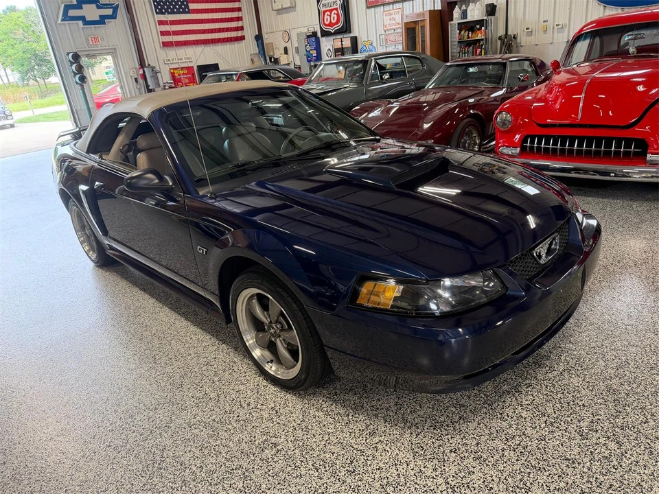 2003 Ford SN95 Mustang - Image 13 of 31