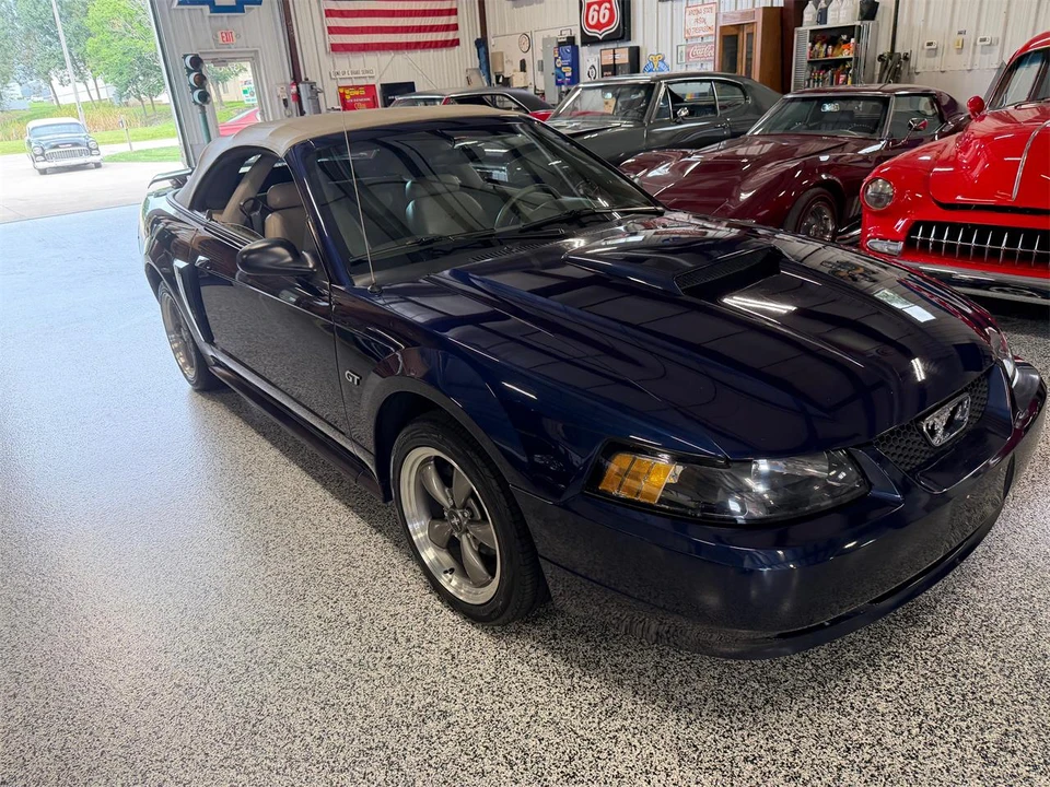 2003 Ford SN95 Mustang - Image 14 of 31