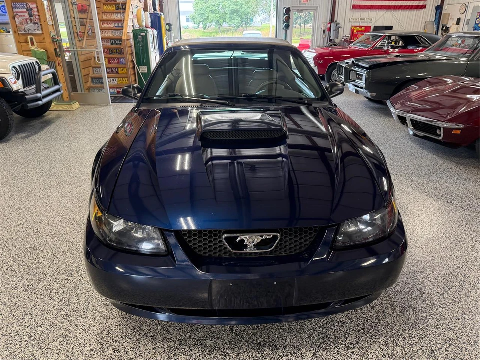 2003 Ford SN95 Mustang - Image 15 of 31