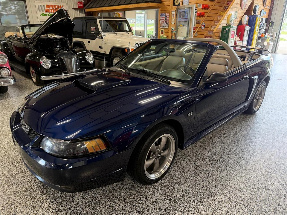 2003 Ford SN95 Mustang - Image 16 of 31