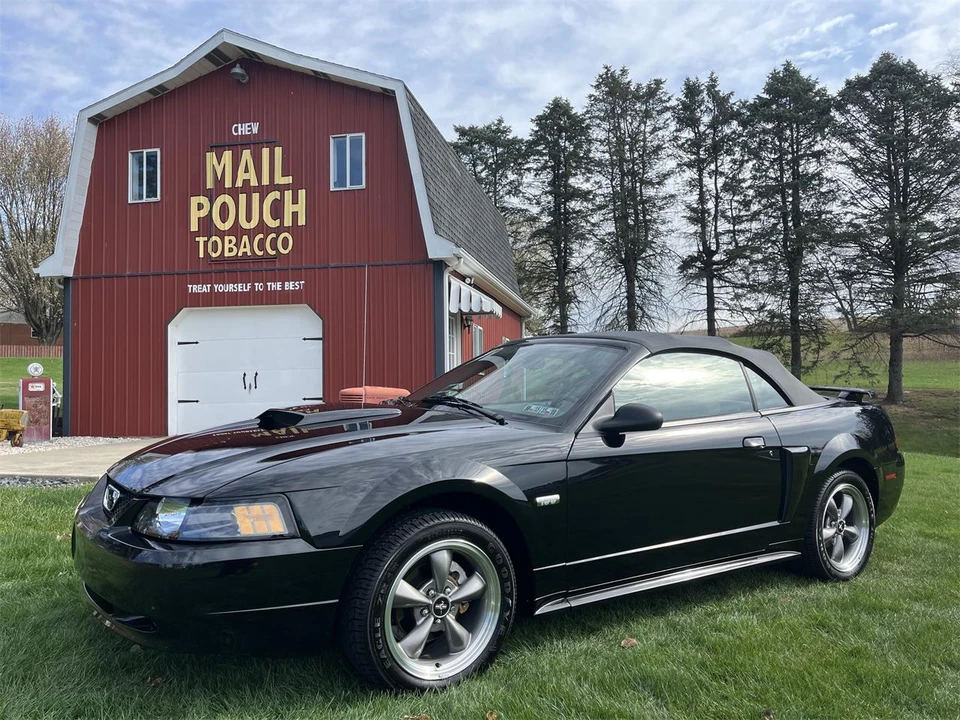 2003 Ford SN95 Mustang - Image 2 of 31