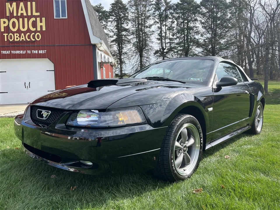 2003 Ford SN95 Mustang - Image 3 of 31