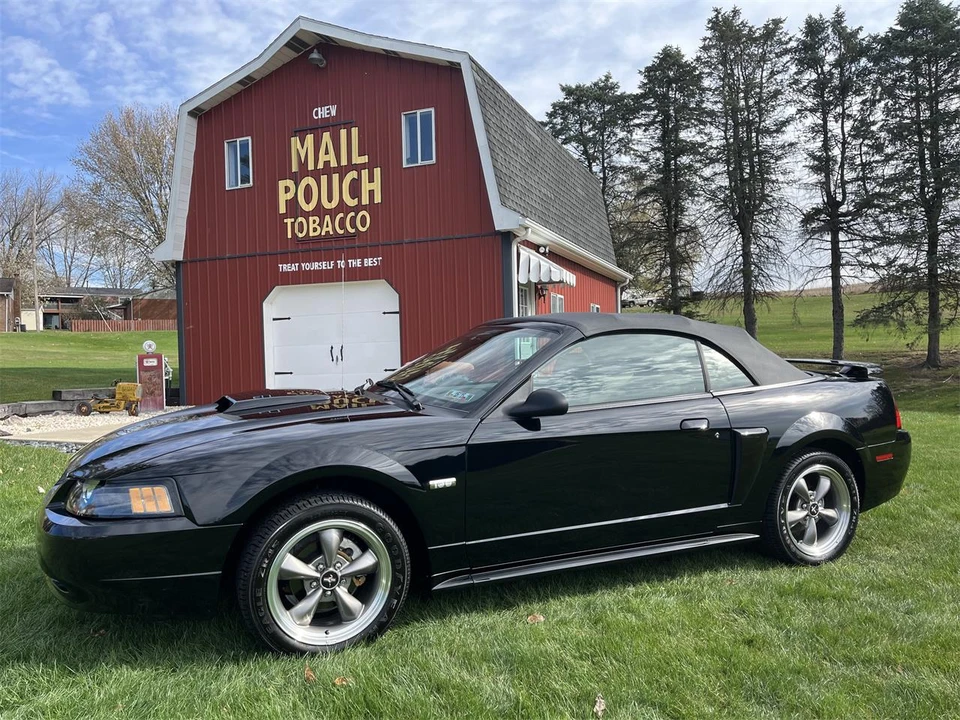 2003 Ford SN95 Mustang - Image 4 of 31