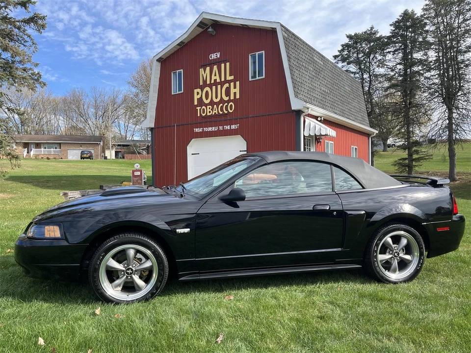 2003 Ford SN95 Mustang - Image 5 of 31