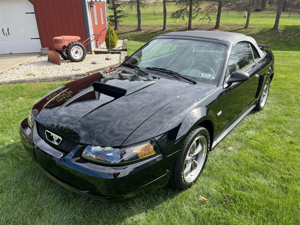2003 Ford SN95 Mustang - Image 6 of 31