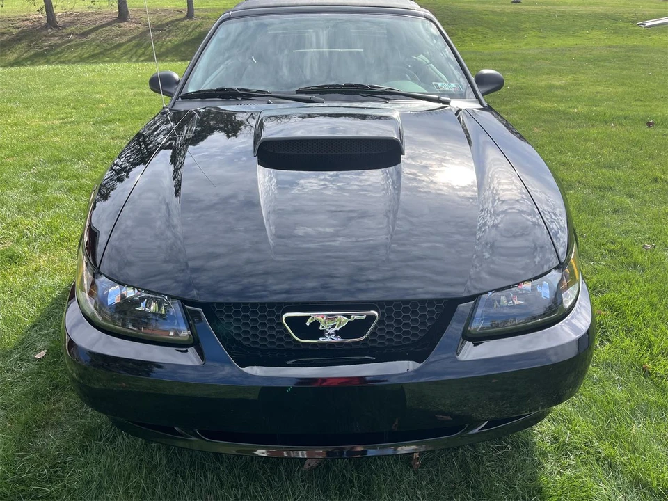 2003 Ford SN95 Mustang - Image 7 of 31