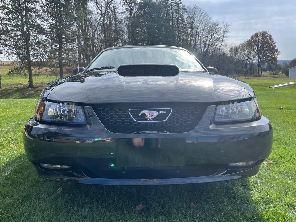 2003 Ford SN95 Mustang - Image 8 of 31
