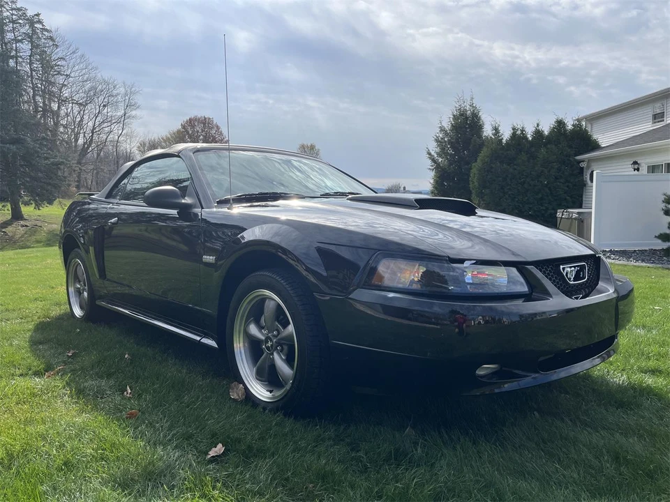 2003 Ford SN95 Mustang - Image 9 of 31