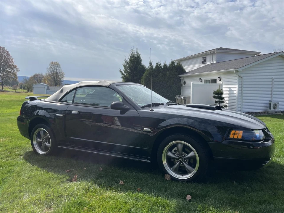 2003 Ford SN95 Mustang - Image 10 of 31