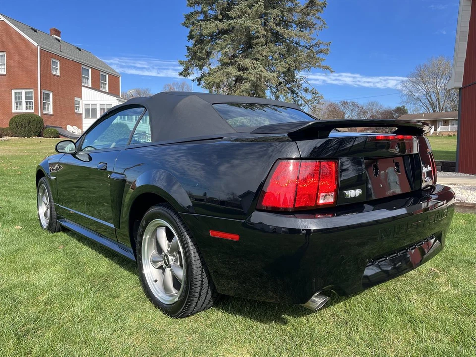 2003 Ford SN95 Mustang - Image 16 of 31